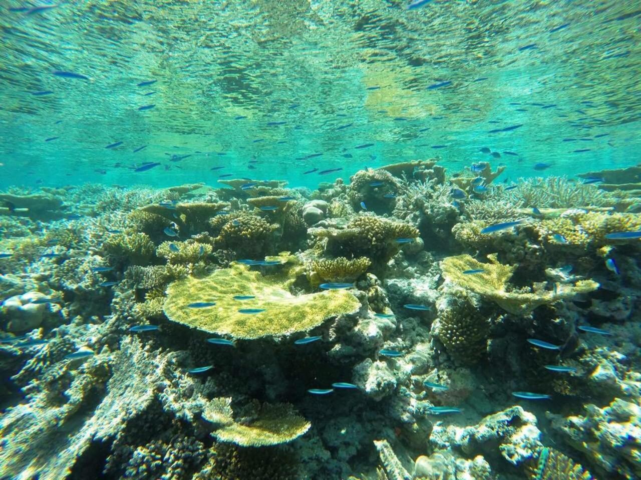 Koimala Beach Ukulhas Exterior foto